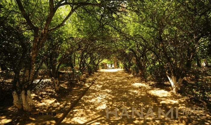 best Hue tourist attractions