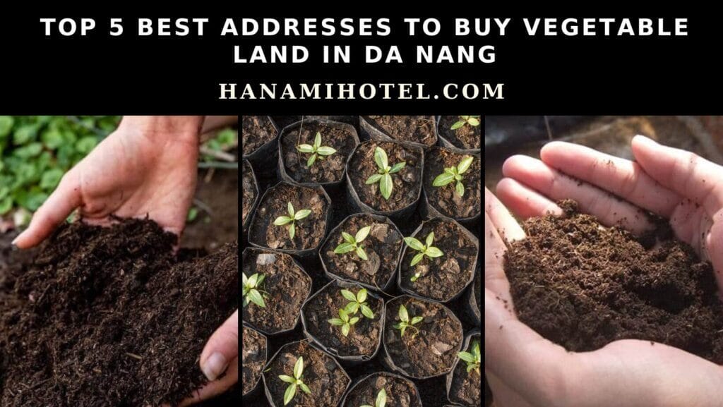 best addresses to buy vegetable land in da nang