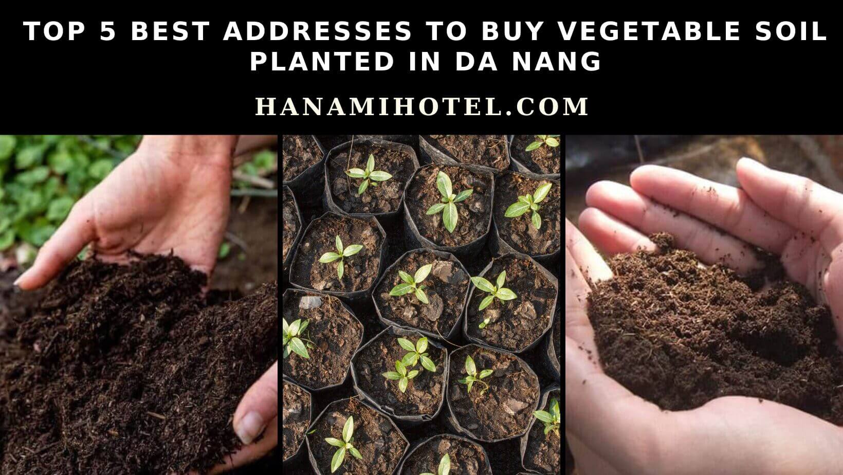 best addresses to buy vegetable soil planted in Da Nang