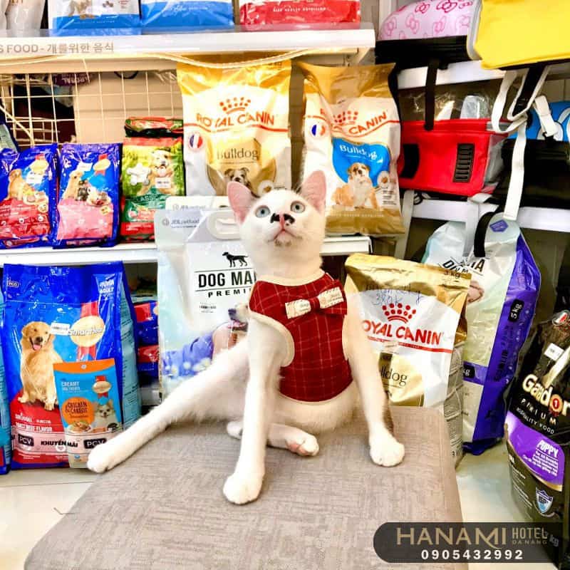 Top 10 best Danang pet shops, Reviews by Hanami 4 best Danang pet shops
