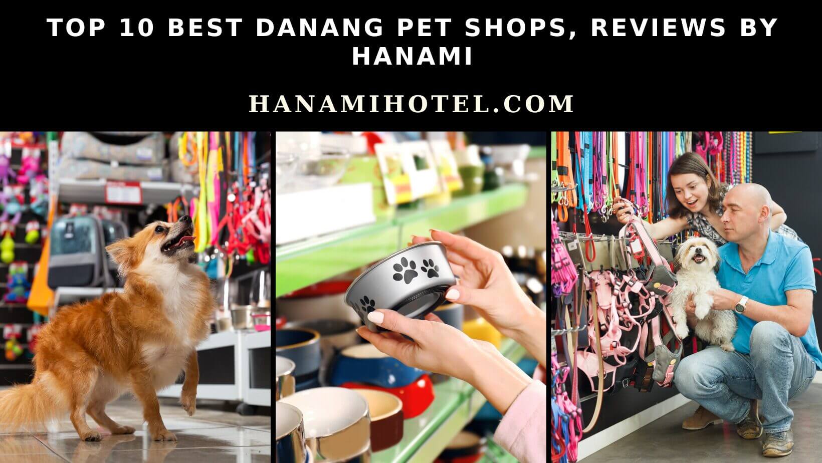 Top 10 best Danang pet shops, Reviews by Hanami 1 best Danang pet shops