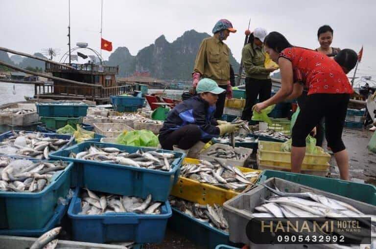 best seafood markets in da nang