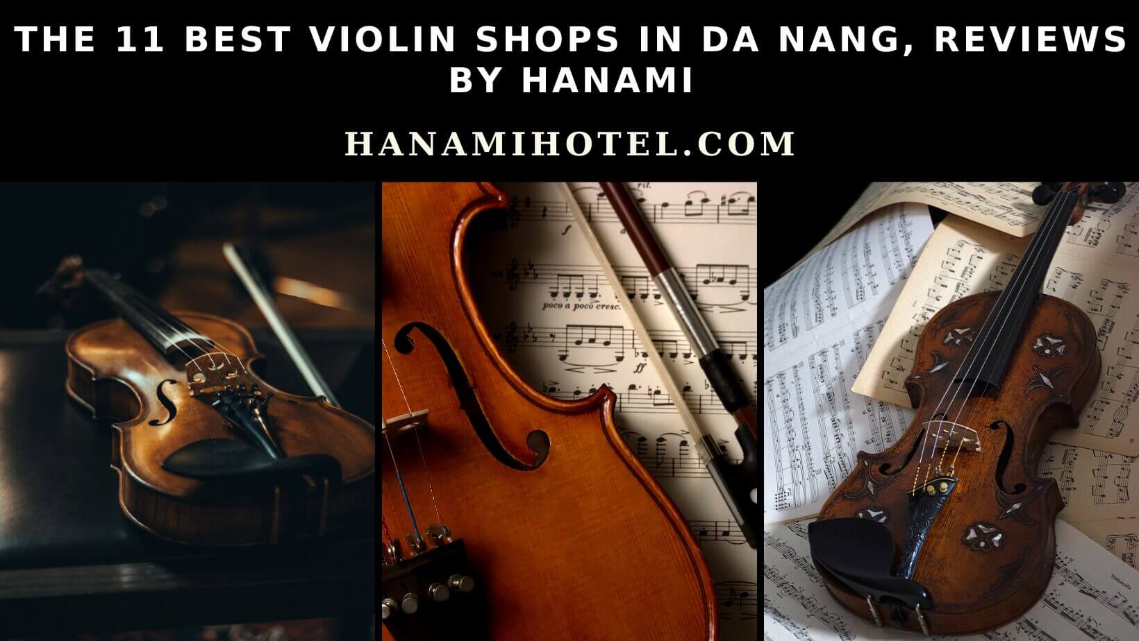 best violin shops in Da Nang