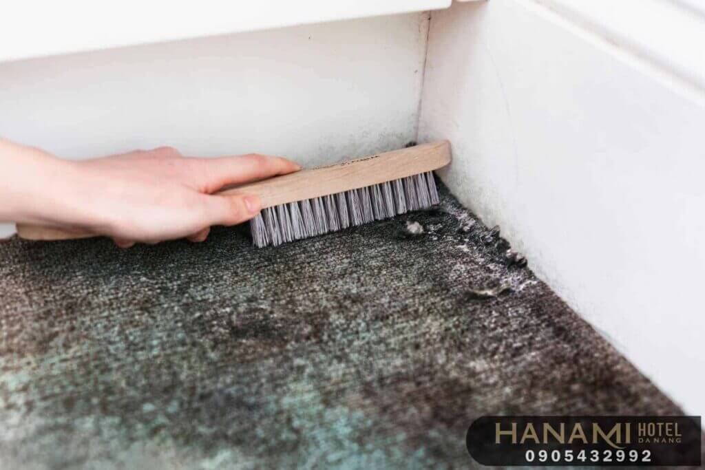 carpet cleaning services in Da Nang