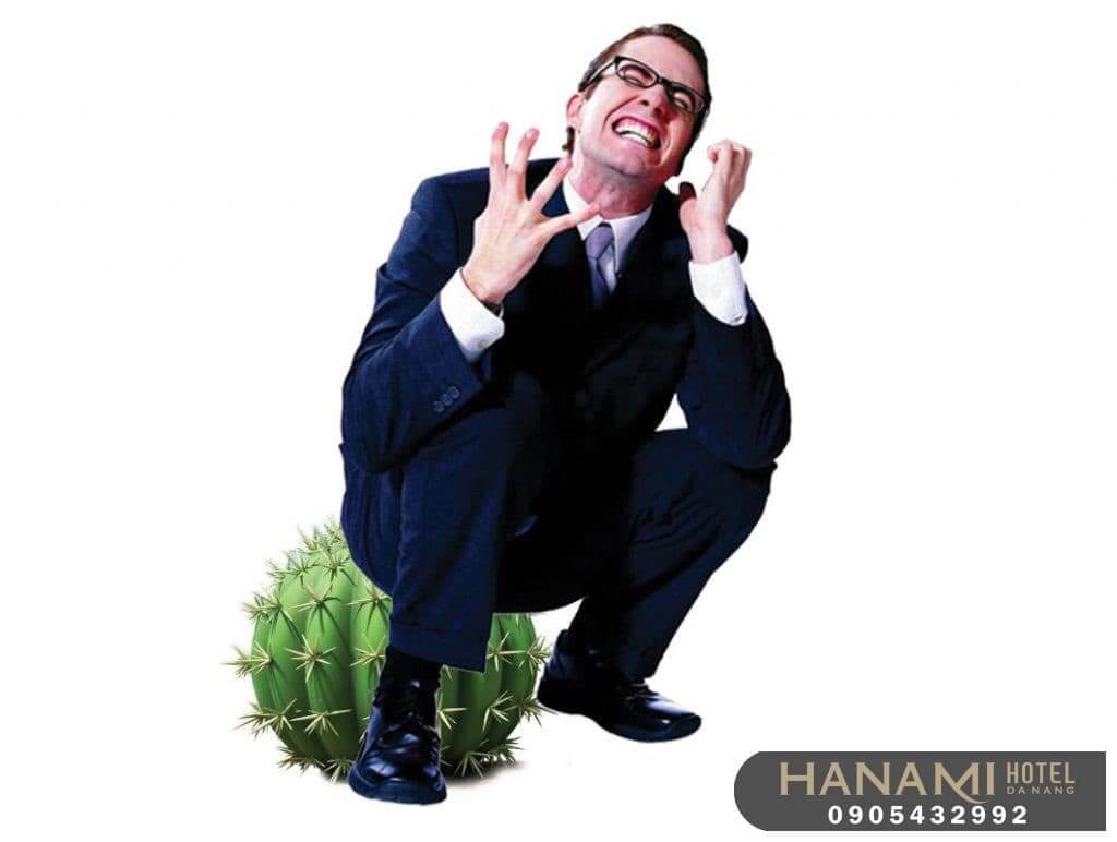 Top 12 địa chỉ chữa bệnh trĩ tại Đà Nẵng uy tín và đảm bảo chất lượng 3 địa chỉ chữa bệnh trĩ tại Đà Nẵng