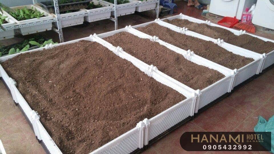 địa chỉ mua đất trồng rau ở Đà Nẵng