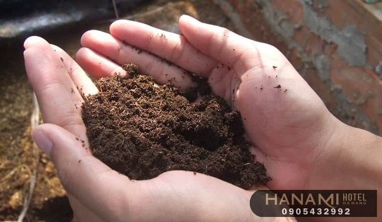 địa chỉ mua đất trồng rau ở Đà Nẵng