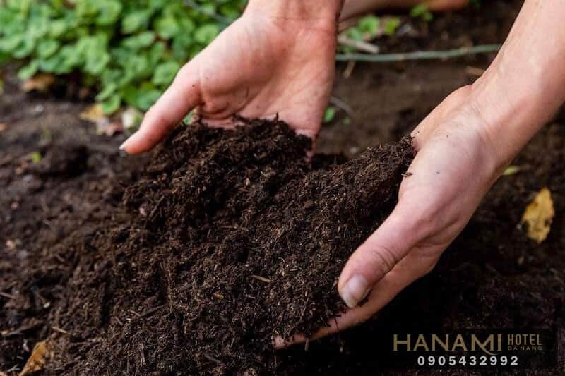 địa chỉ mua đất trồng rau ở Đà Nẵng