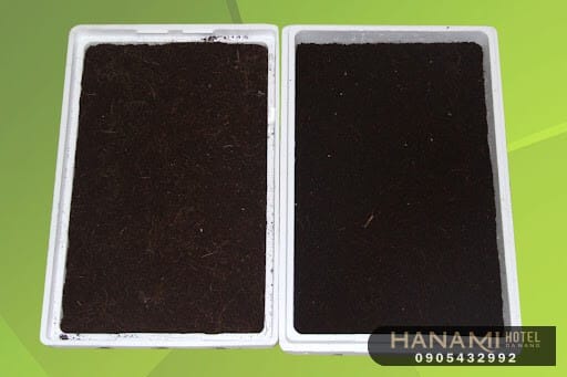 địa chỉ mua đất trồng rau ở Đà Nẵng