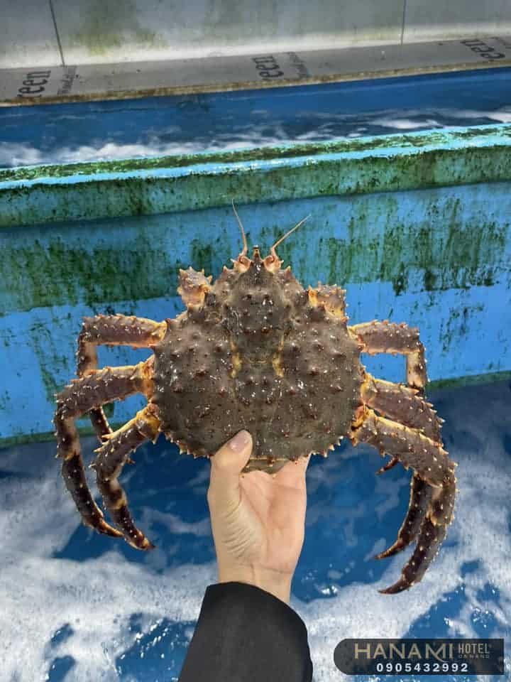 Best Affordable King Crab Selling Spots in Da Nang