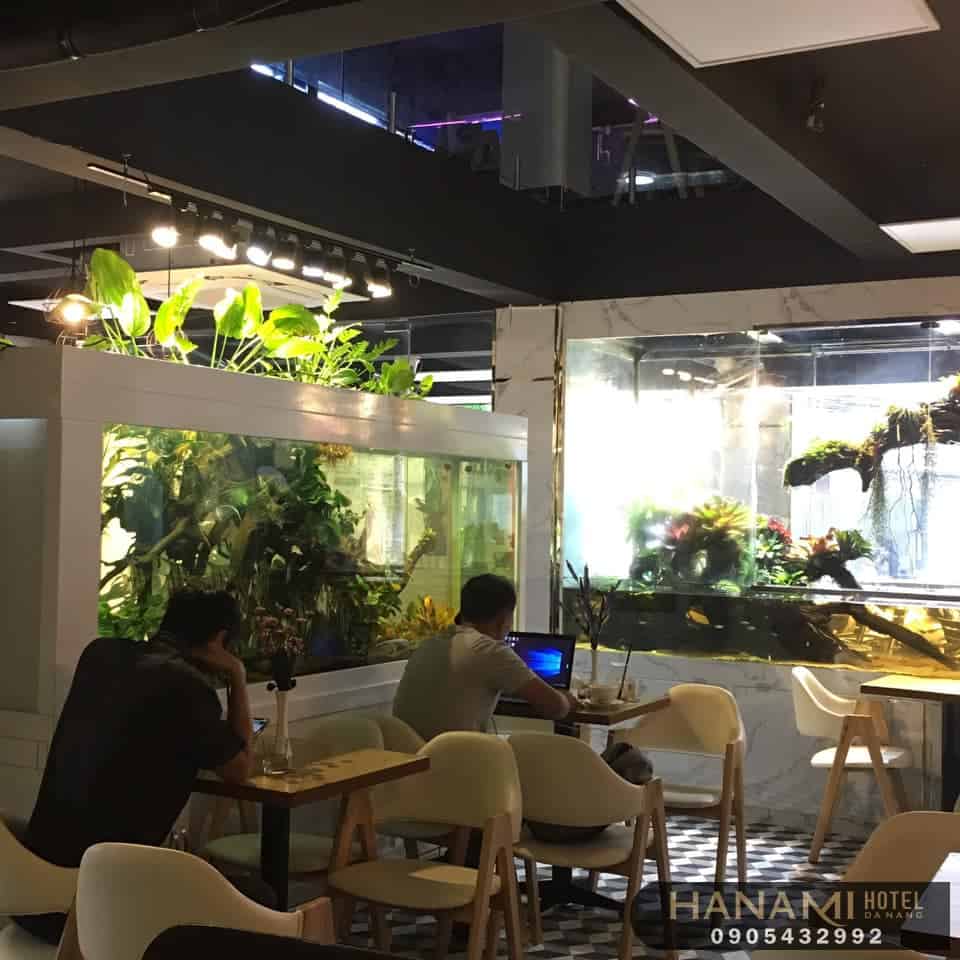 best where to sell aquarium fish in da nang