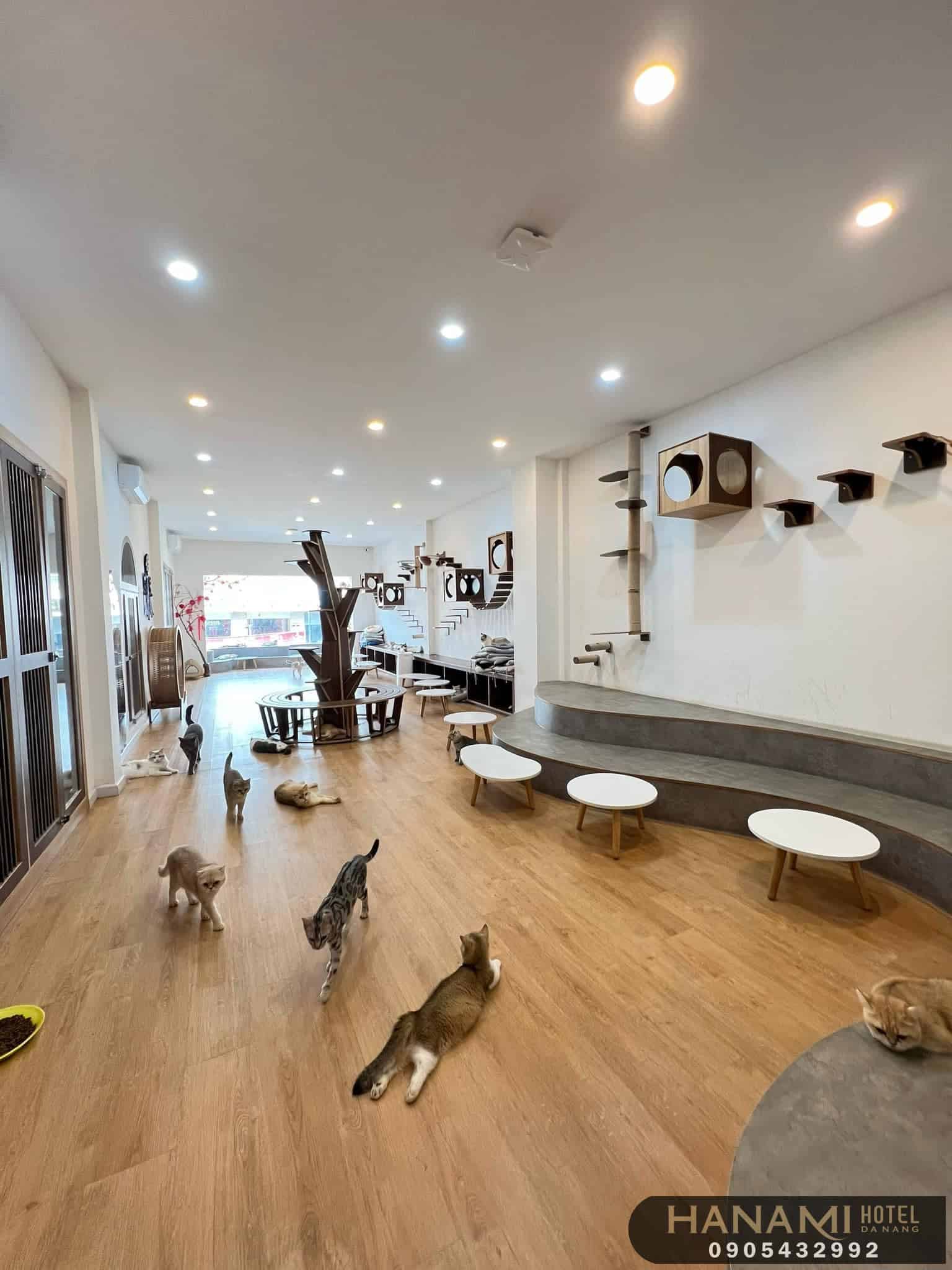 Da Nang pet cafes