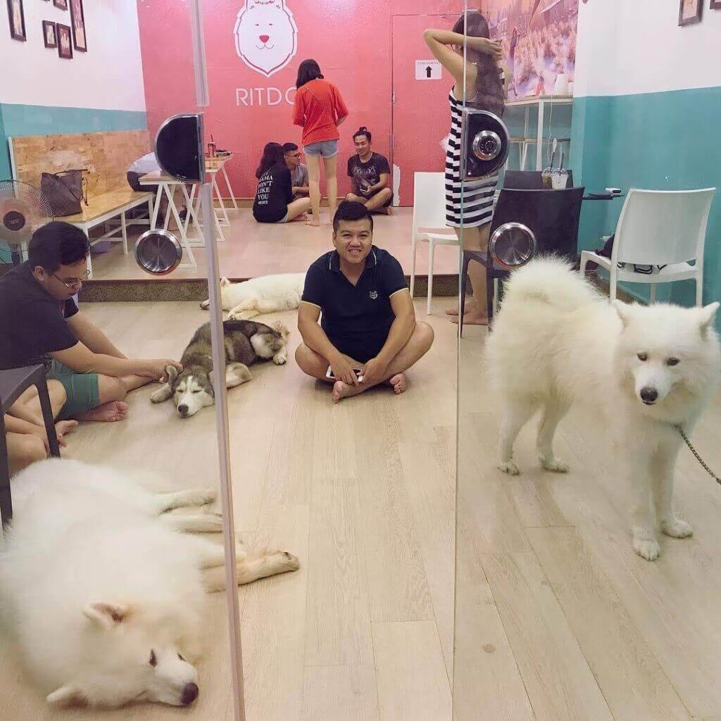 Da nang pet cafes