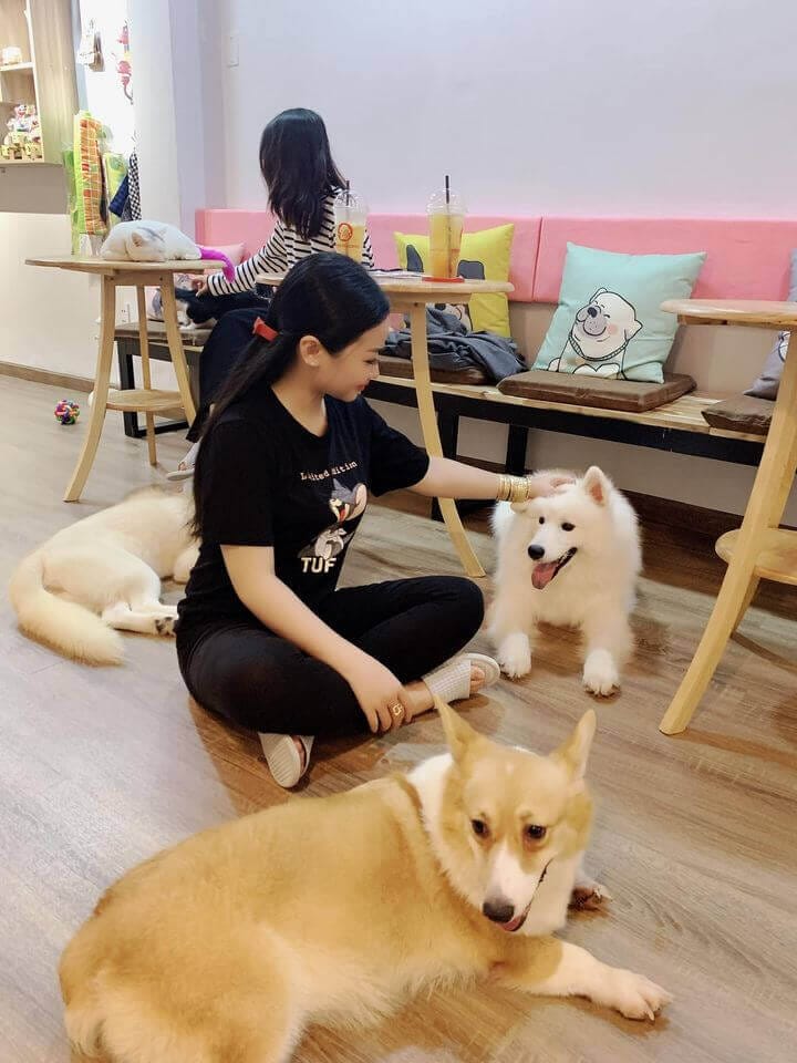 Da Nang pet cafes