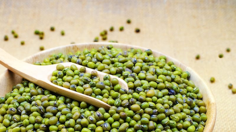 Bánh đậu xanh hội an có gì đặc biệt? 3 Bánh đậu xanh Hội An