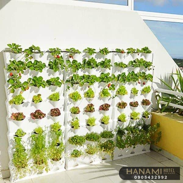 5 Lợi ích tuyệt vời khi trồng rau sạch tại nhà 1 Cách lựa chọn loại rau trồng sạch tại nhà