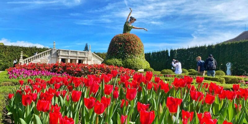 Tổng hợp các sự kiện, lễ hội ở Đà Nẵng lớn và đặc sắc nhất 2025 2 Lễ hội ở Đà Nẵng